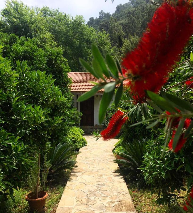 Dolunay Apart Hotel Çıralı Kültér fotó